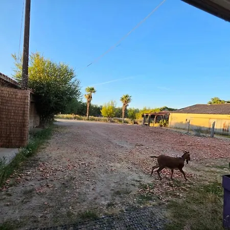 Between Nantes Et Pornic, Swimming Pool, Pond&countryside Hébergement de vacances